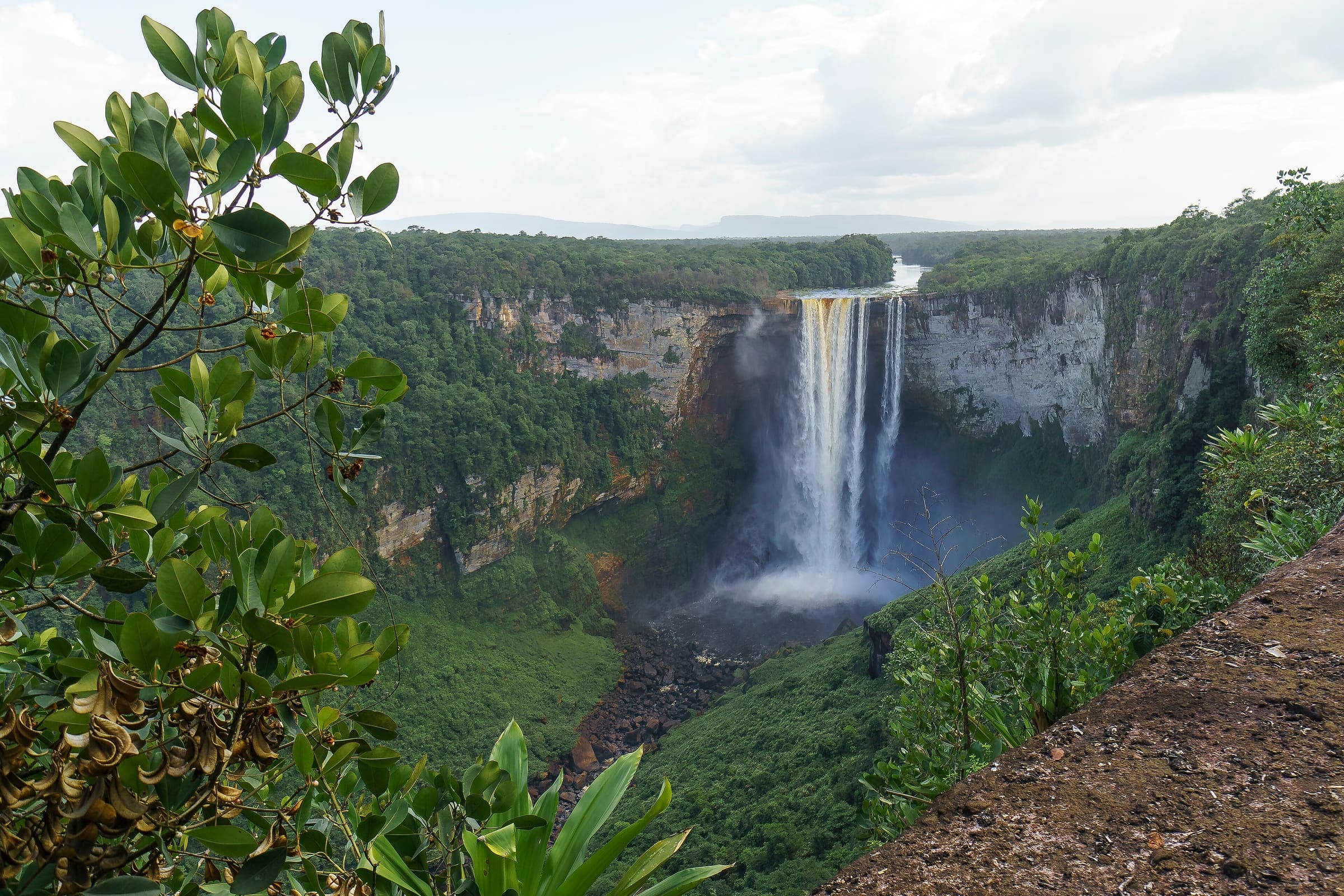 Kaieteur Falls pouring into a deep forested gorge, framed by leaves at the lookout